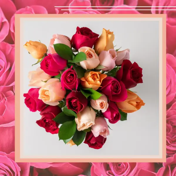 buquê de rosas coloridas para presentear namorada