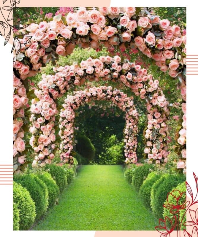 arco de rosas para casamento